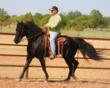 Boss’ Midnight Cash Wins Missouri Fox Trotter 2012 Stallion of the...